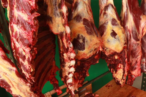 Save the cheese, toss the meat: A toxicologist explains why