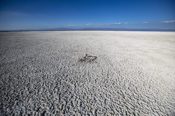 Dust from California's shrinking Salton Sea is harming lung growth Dust from California's shrinking Salton Sea is harming lung growth